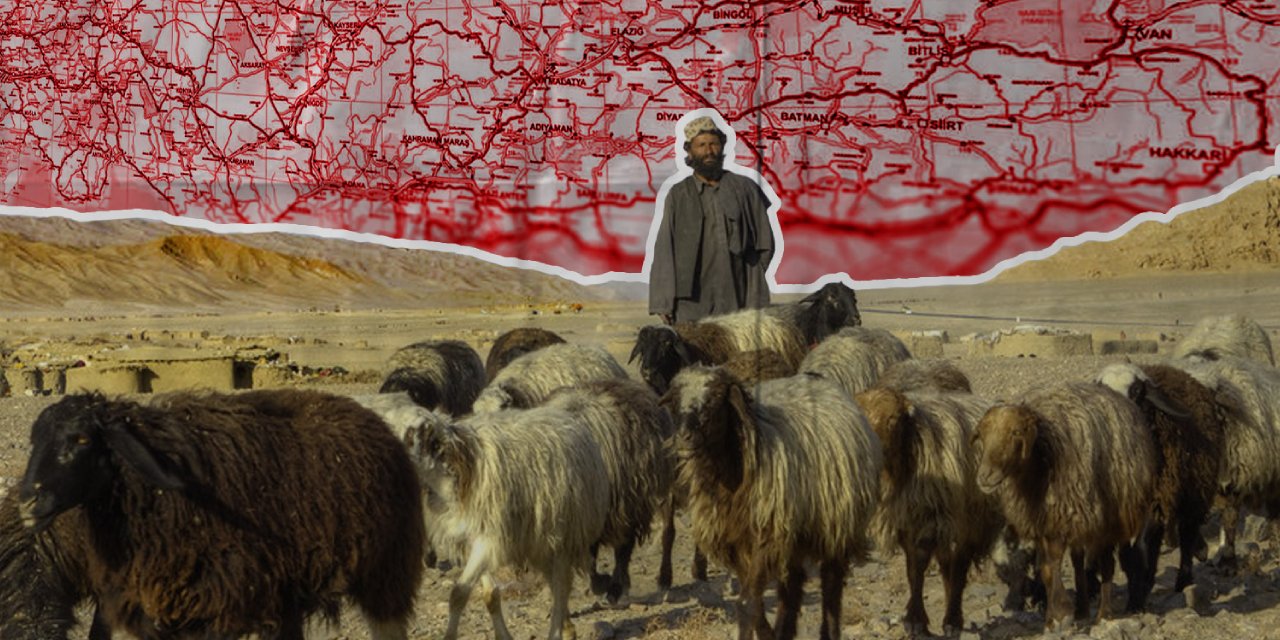 Türkiye ve Afganistan Arasında Çoban Trafiği! "150 Bin Kişiye İhtiyaç Var"