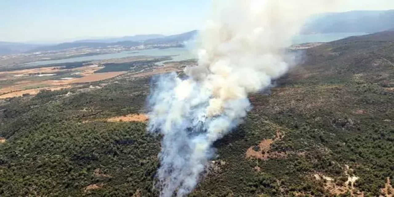 İzmir'de Orman Yangını!