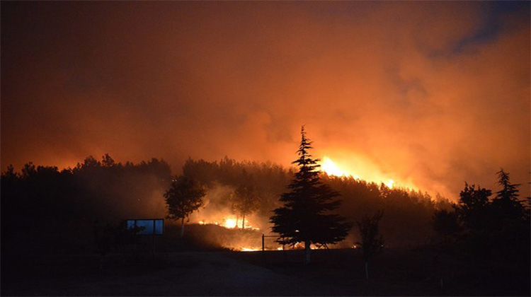 Yangın İzmir'den Manisa'ya ulaştı: 2 bin kişi tahliye edildi