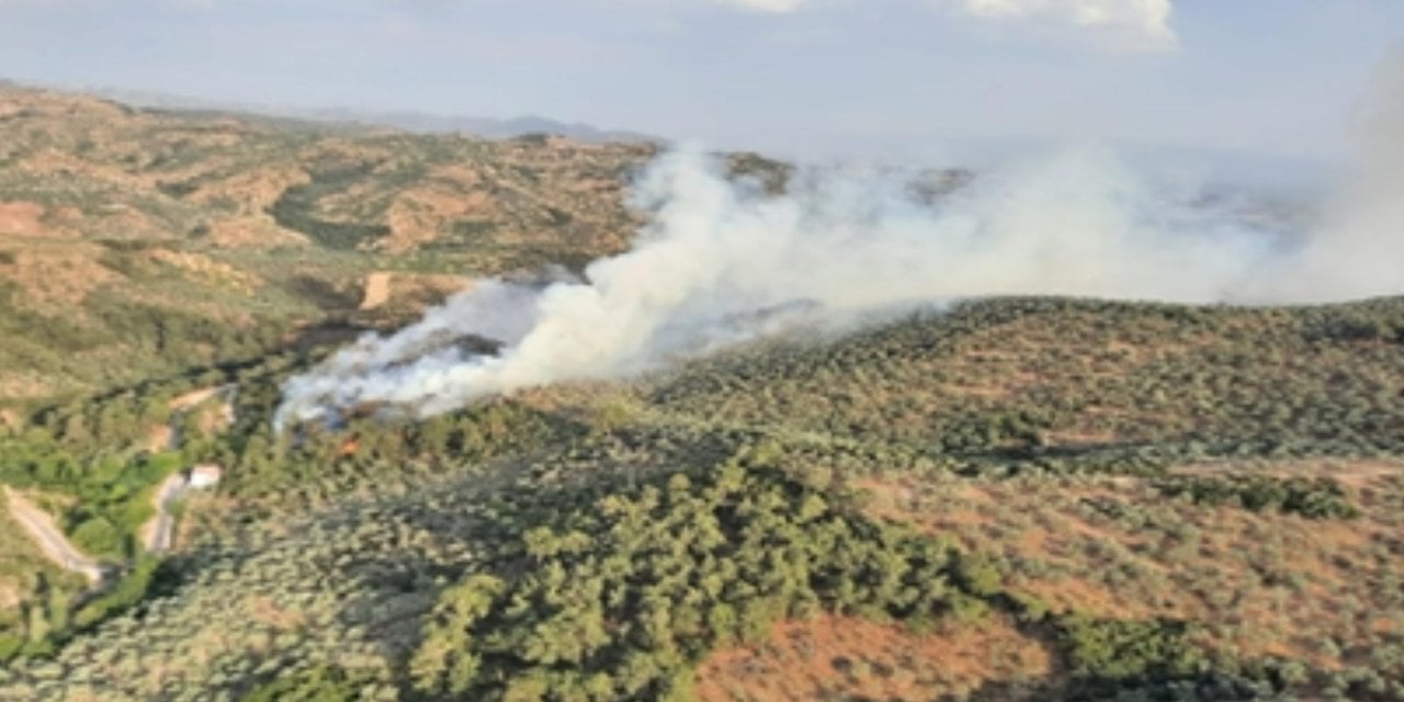 Aydın’da Orman Yangını