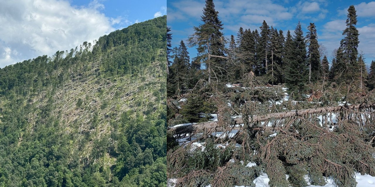 Karadeniz'de Hiç Alışık Olmadığımız Olaylar Görülmeye Başlandı