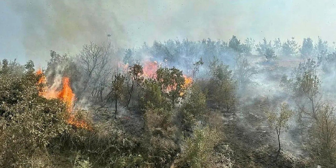 7 Saatlik Yangında 100 Dönüm Arazi Zarar Gördü
