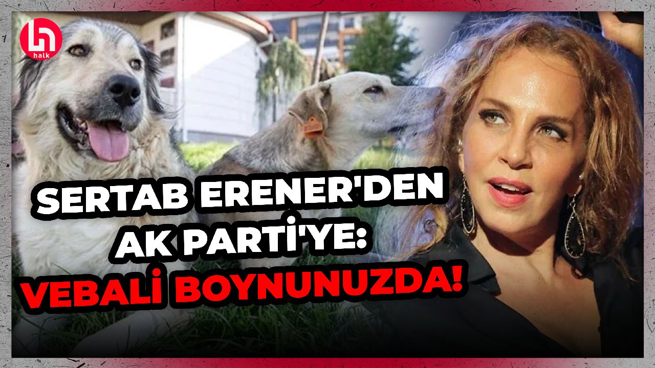 Sertab Erener'den sahnede AK Parti'ye çok sert ötenazi tepkisi!