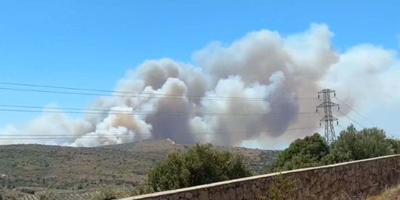 Çeşme'de Orman Yangını!