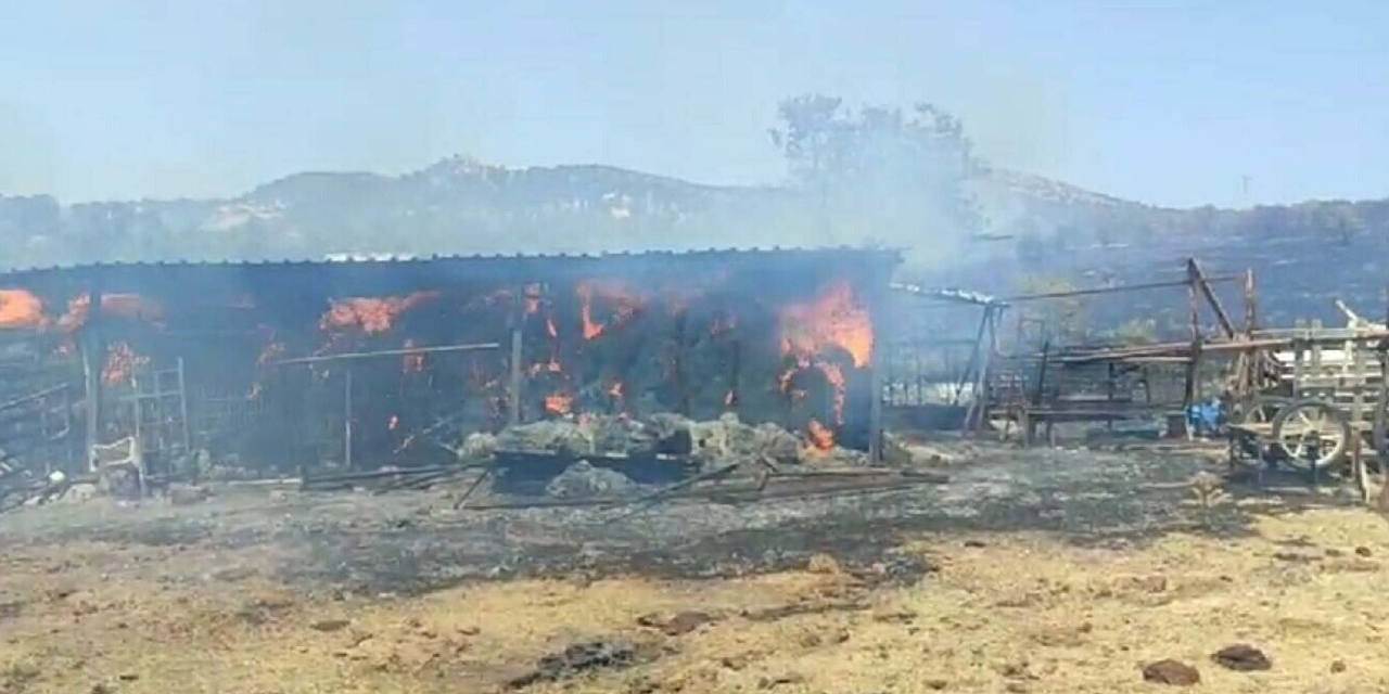 Çanakkale'de Tarım Arazisinde Korkutan Yangın