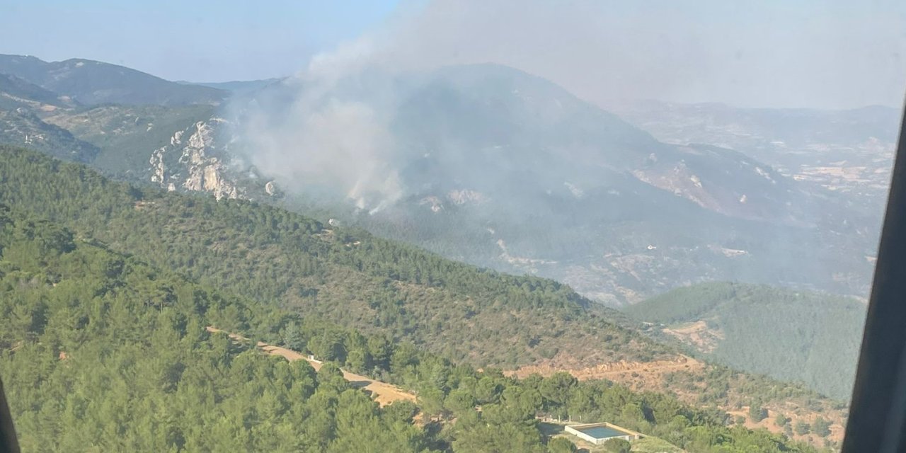 Bergama’daki orman yangını söndürüldü: Orman işletme müdürü yaşamını yitirdi