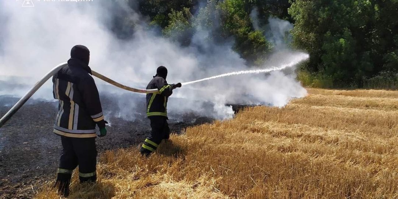 Orman yangını felaketi: 24 Saatte 343 yangın!