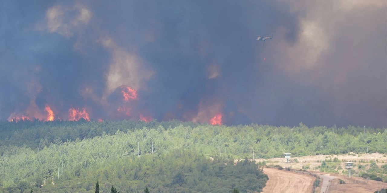 İzmir Buca'da Orman Yangını