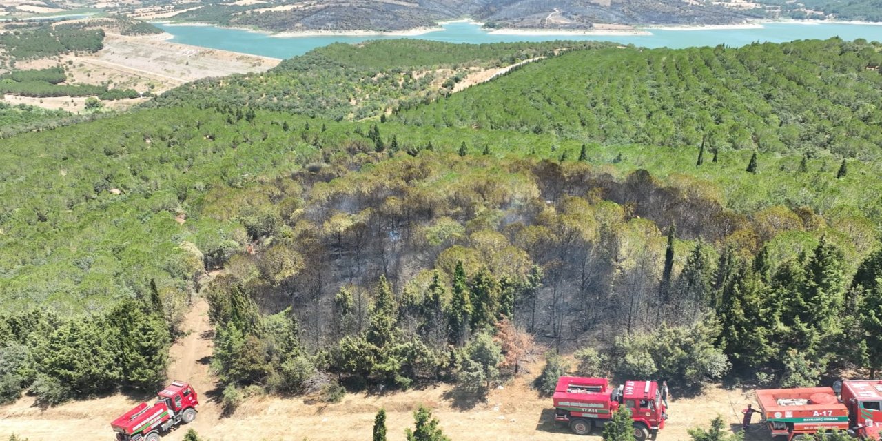 Çanakkale Bayramiç'te orman yangını!