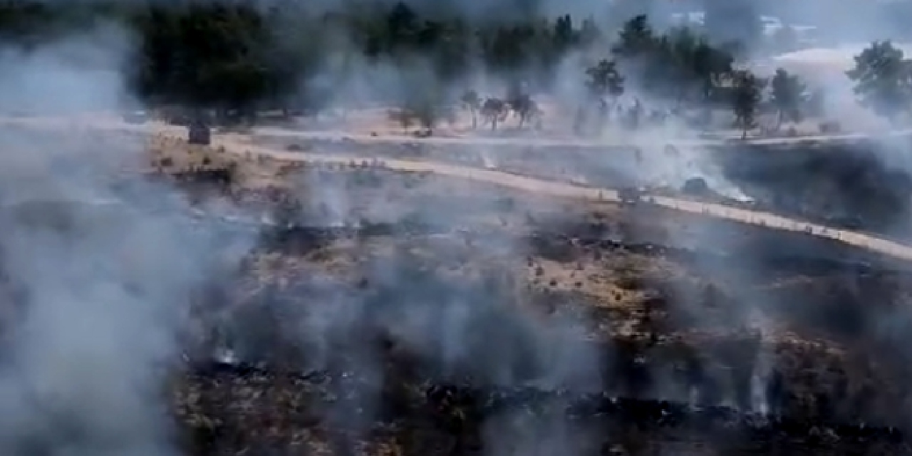 Antalya'da 5 hektar alan yandı