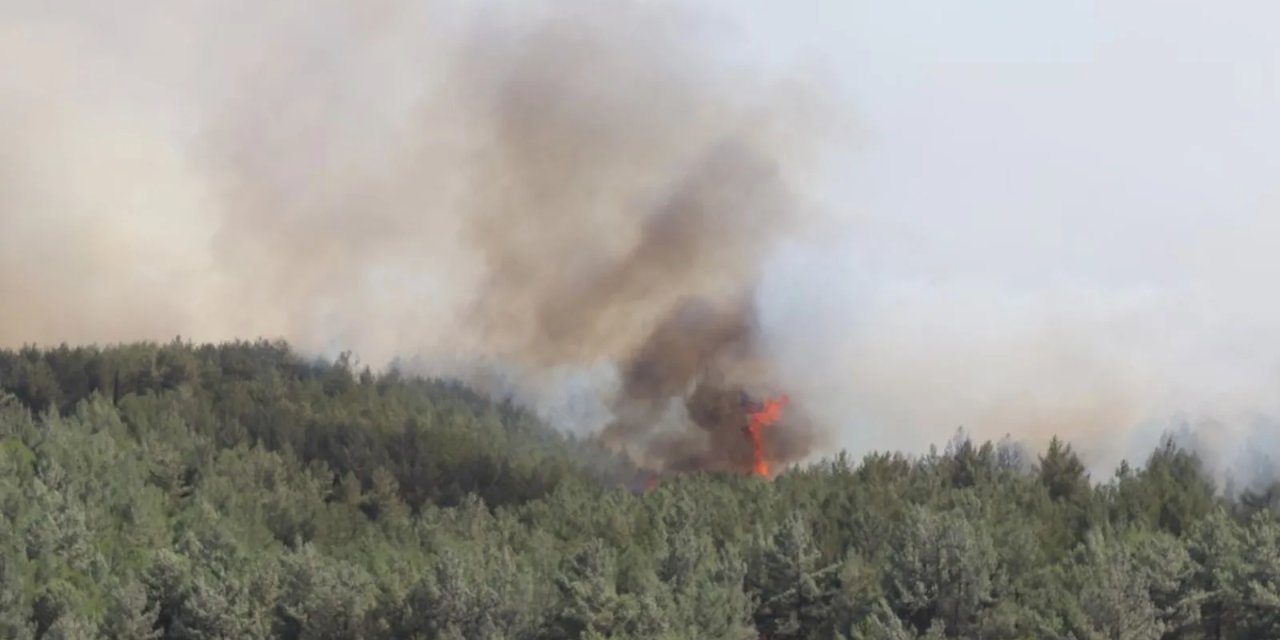 İzmir Buca'da ormanlık alanda yangın çıktı