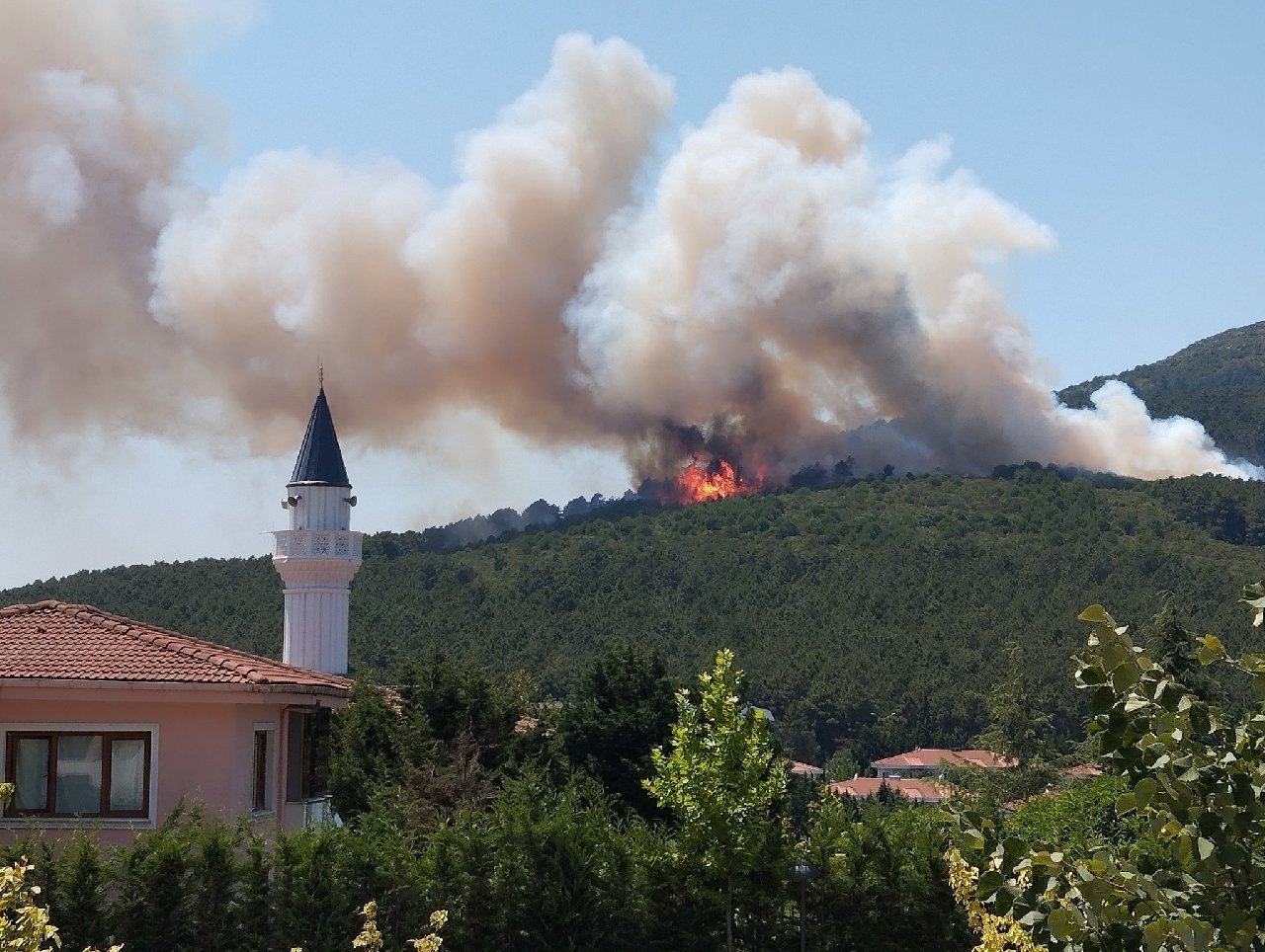 Aydos Ormanı'nda yangın çıktı alevler yayılıyor