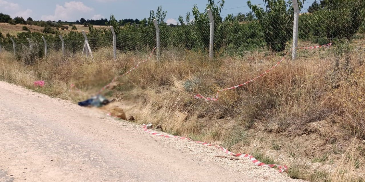 Baba oğulun tarladaki arbedesinde kan döküldü