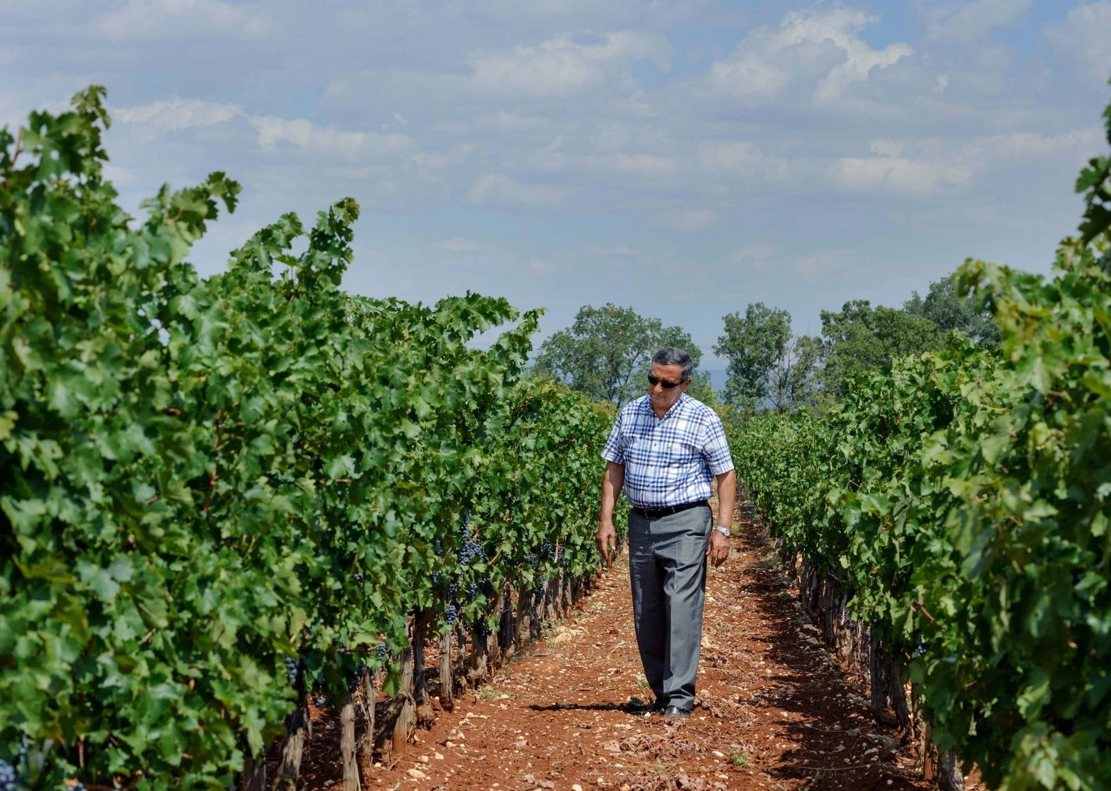 Türkiye'nin En Eski Şarap Fabrikasının Sahibi İmam Çocuğuymuş