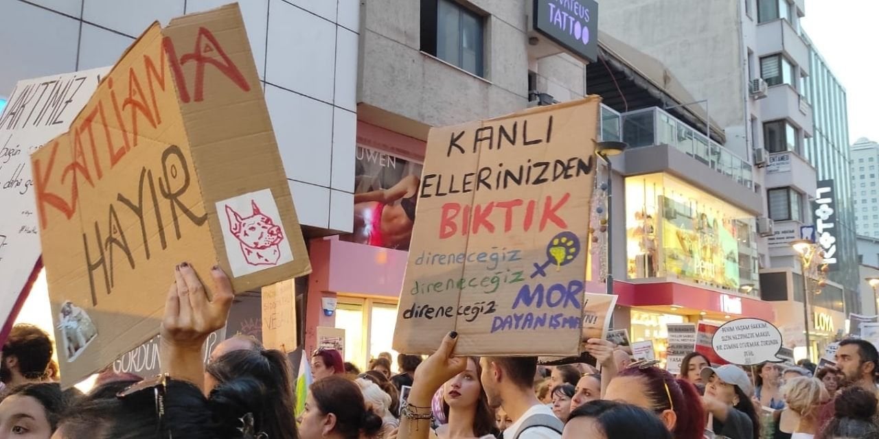 İzmir'de hayvan hakları savunucuları Ankara'ya doğru yola çıktı