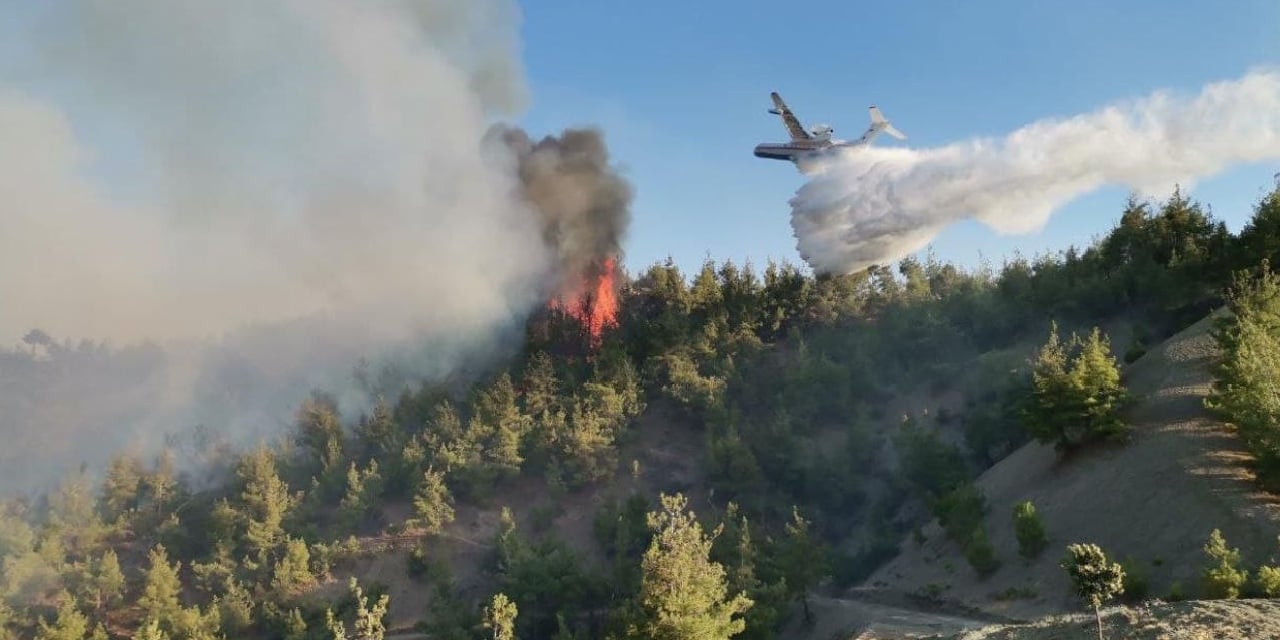 Kahramanmaraş'ta orman yangın söndürüldü