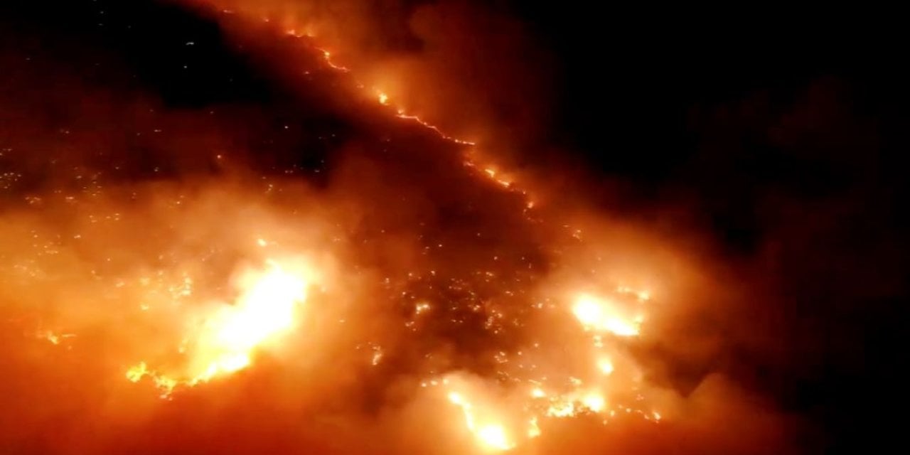 Elazığ'da orman yangını!
