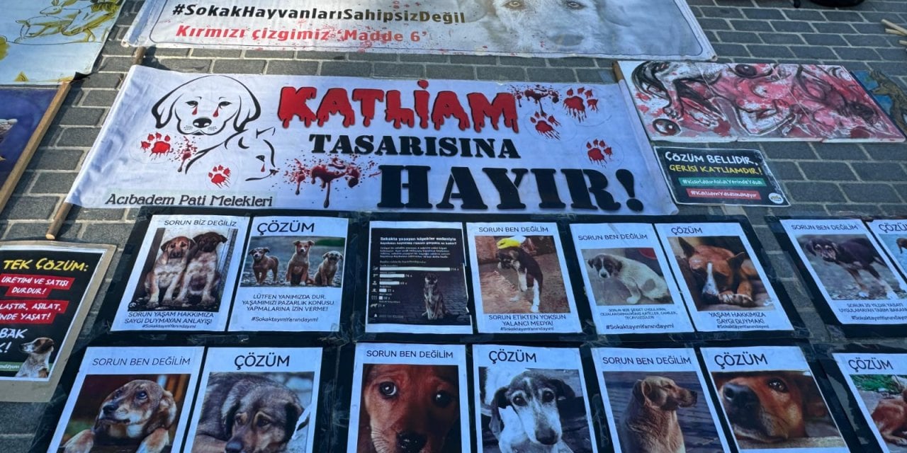 Hayvan hakları savunucularından Kadıköy'de 'büyük buluşma' çağrısı!