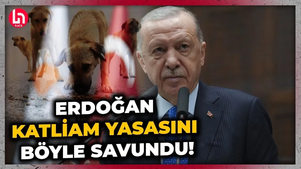 Erdoğan'dan sokak hayvanları yasasına karşı çıkanlara sert tepki! "Kimse merhamet dersi vermesin!"