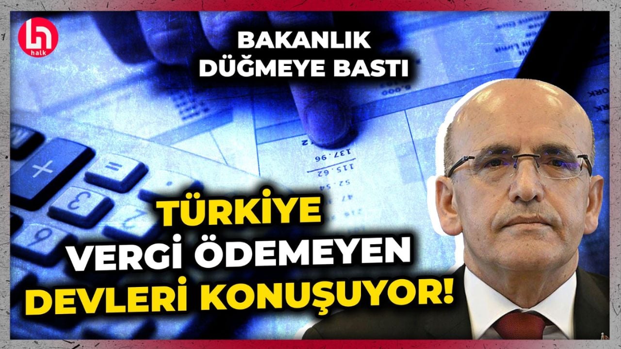 Türkiye'nin dev firmaları tek kuruş vergi ödememiş: Bakanlık 735 firma için düğmeye bastı