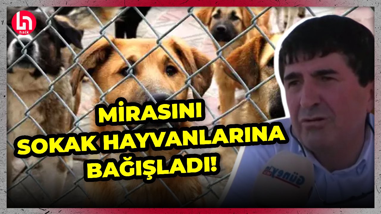 Gaziantep'te 69 bin metrekarelik mirasını sokak hayvanlarına bağışladı! İşte o sözler...