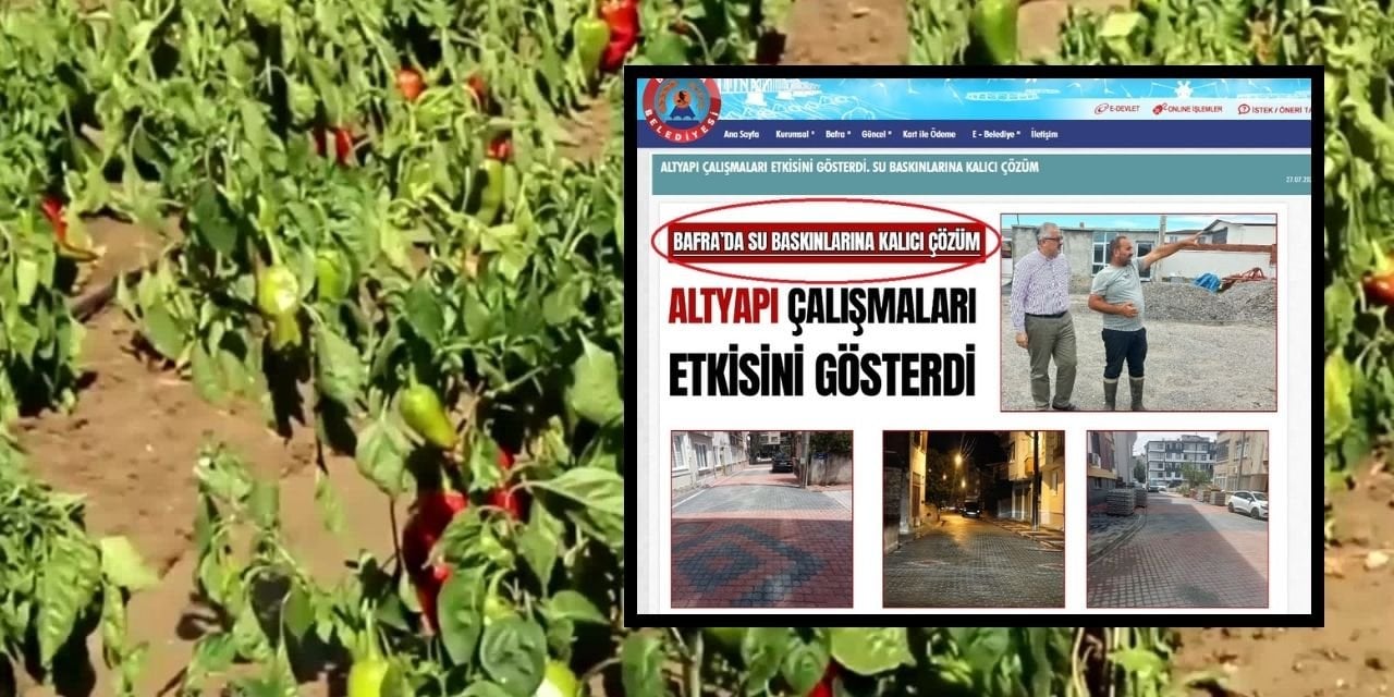 AKP'li Belediye'nin "Su birikintisi oluştu" dediği ilçede tonlarca mahsül ziyan oldu