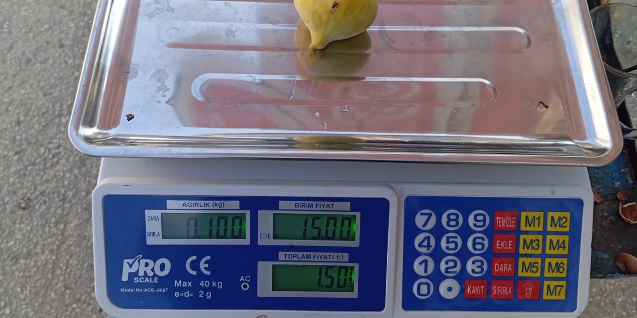 Tek bir tanesi 15 lira oldu görenler isyan etti!