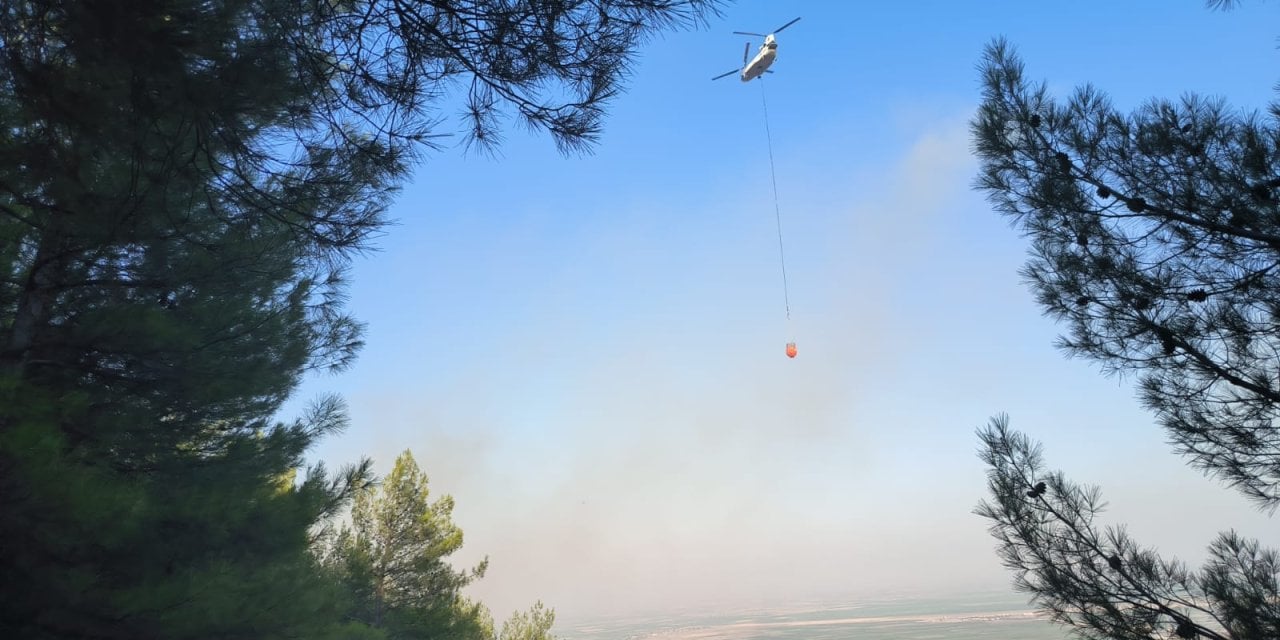 Hatay'da çıkan orman yangını kontrol altına alındı