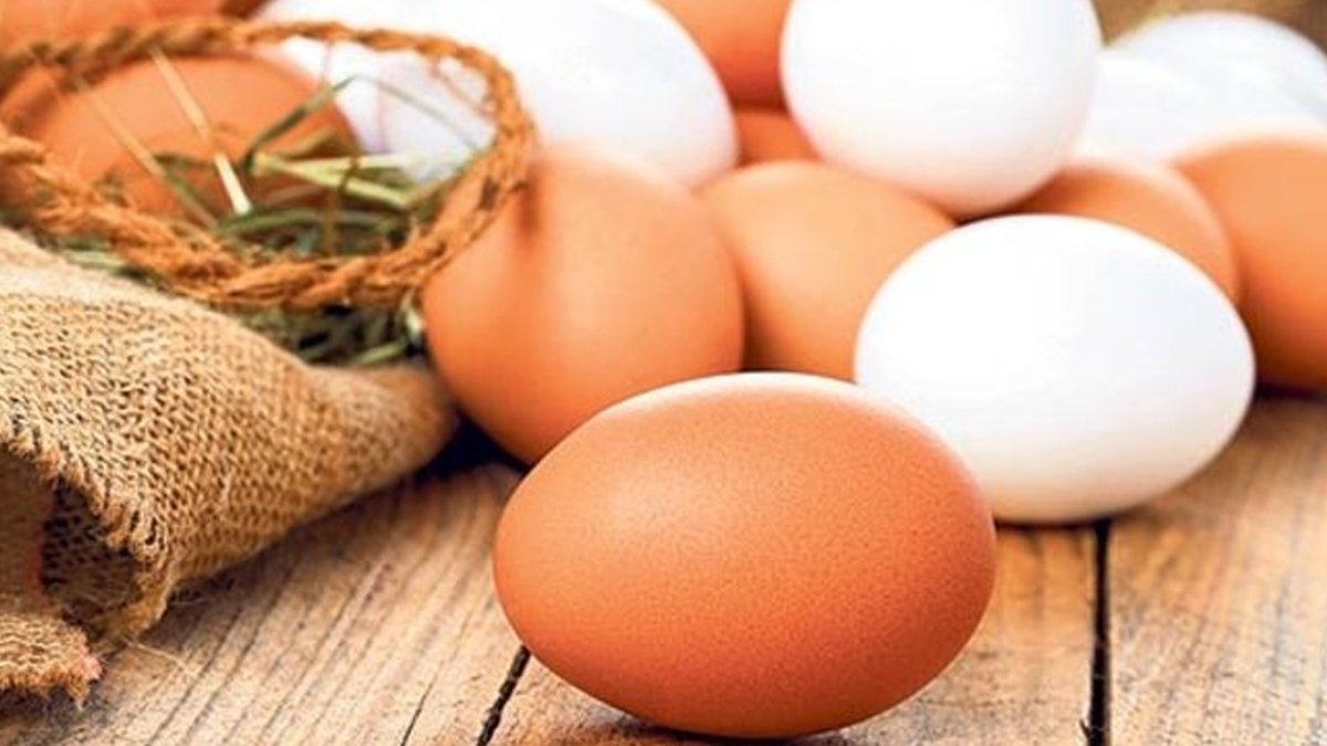 Yumurta için ezber bozan araştırma!