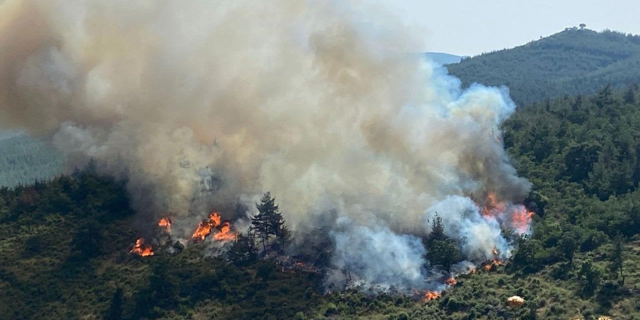 Muğla Milas'ta yangın paniği!