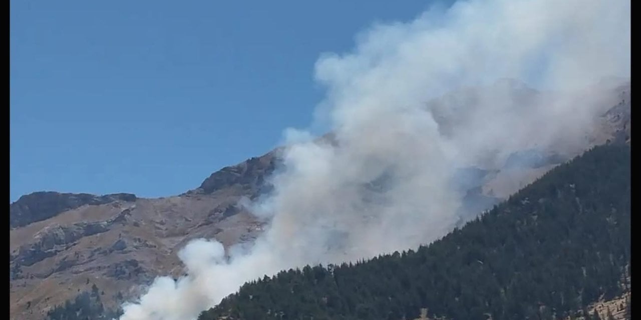 Kahramanmaraş'ta orman yangını!