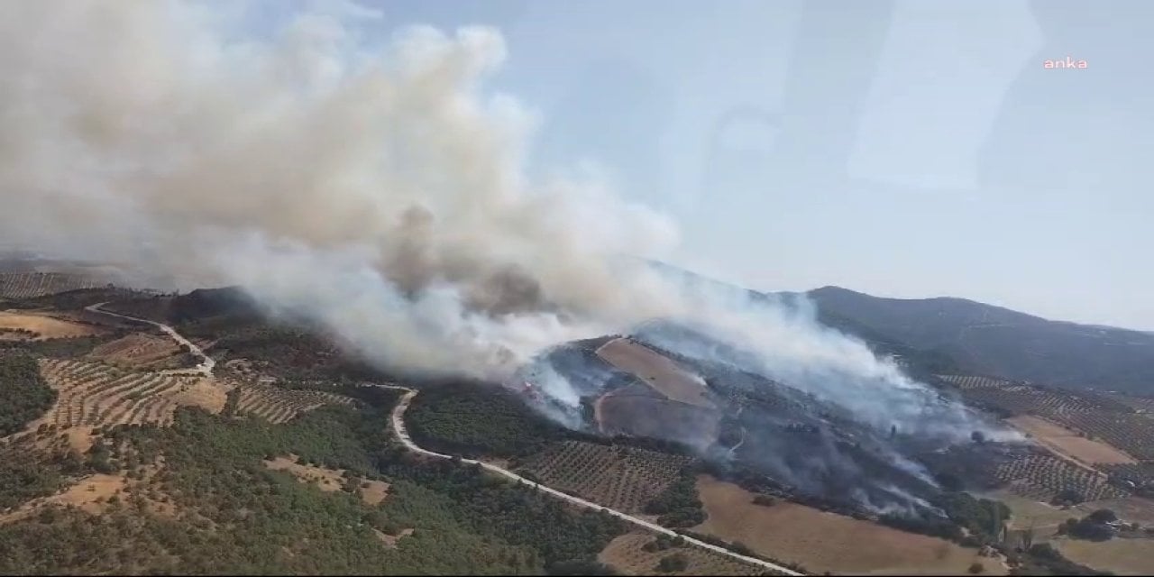 Manisa Salihli'de orman yangını başladı!