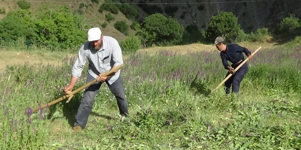 Erzurum'da çiftçilerin güneş altında zorlu ot biçme mesaisi sürüyor