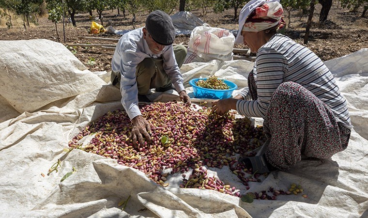 Çiftçi eylemleri büyüyor: 140 TL’lik taban fiyat isteyen üreticiler yollara dökülerek destek istedi