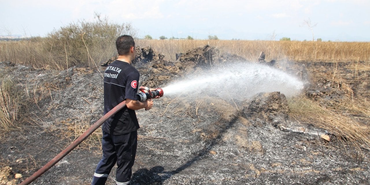 Serik'te yangın paniği: Yangın bahçelere sıçradı!