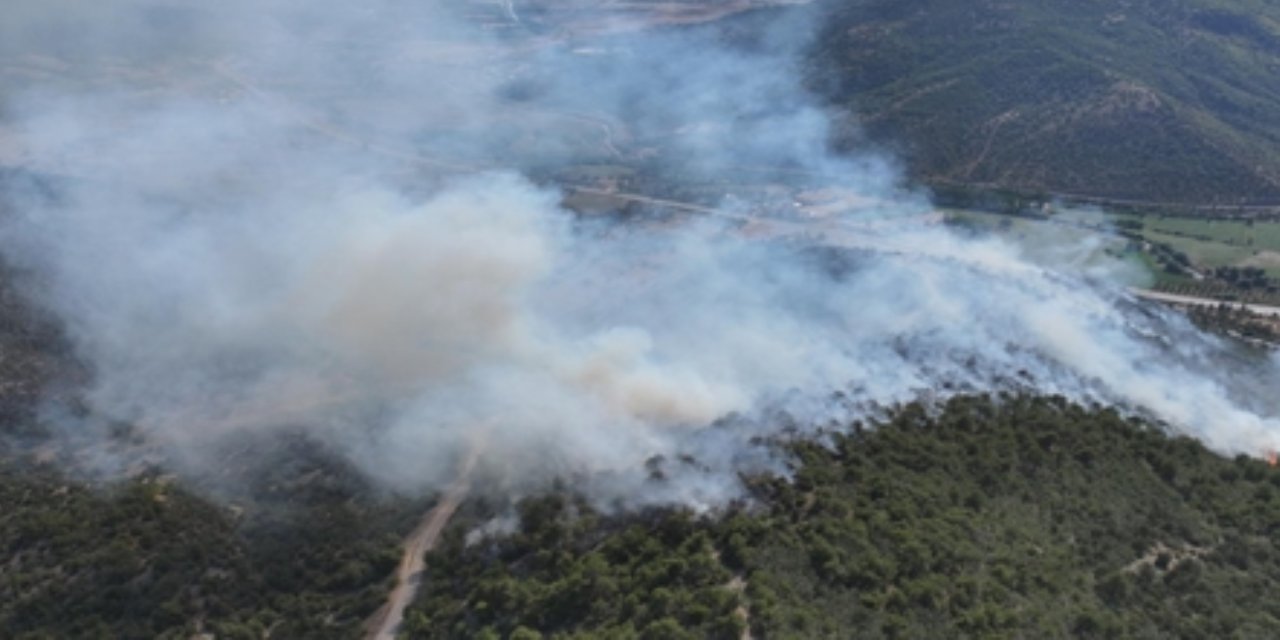 Tokat’ta orman yangını