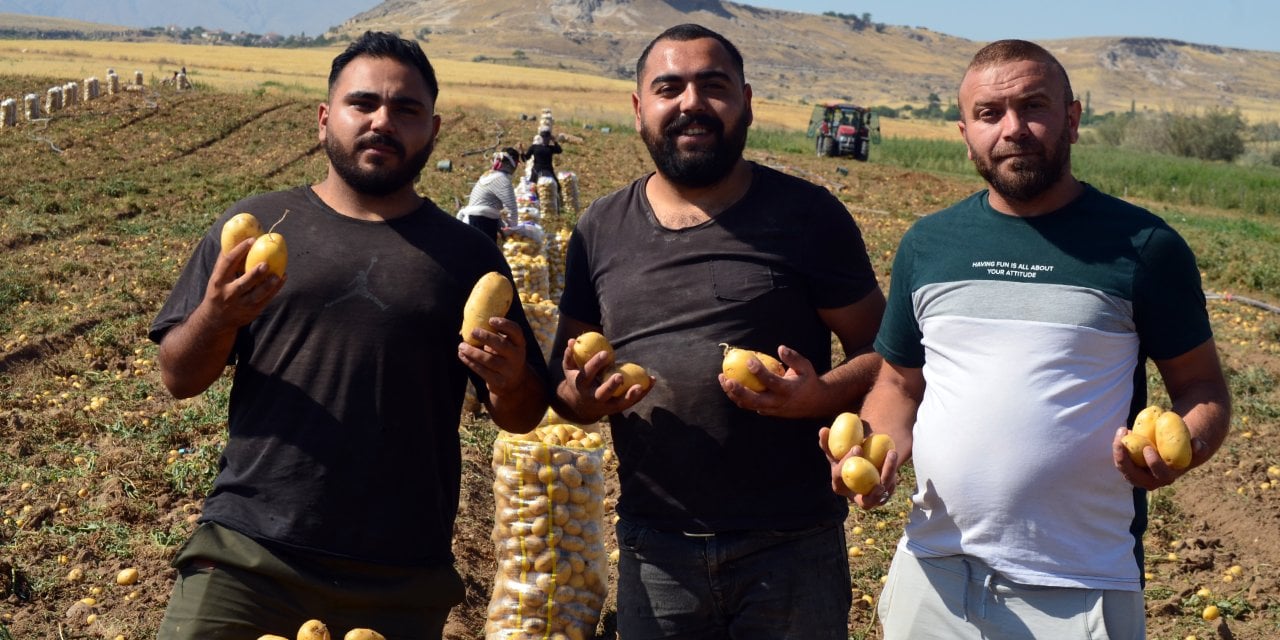 Fiyatlarda büyük kırılma! Yarı yarıya düştü