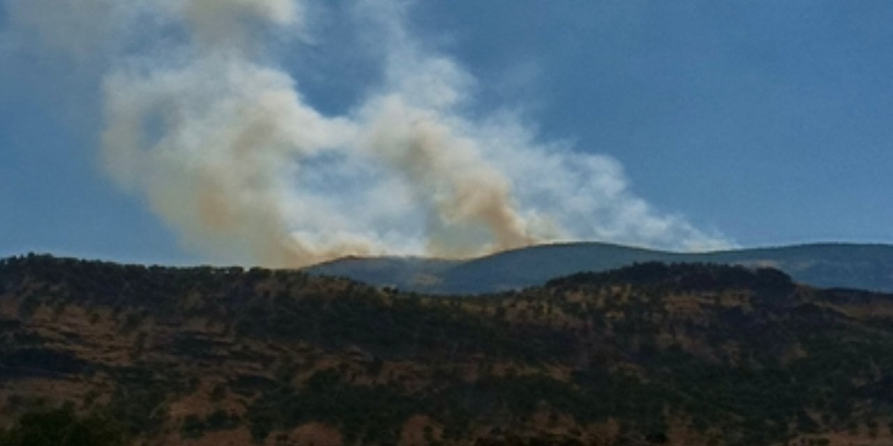 Tunceli’de orman yangını