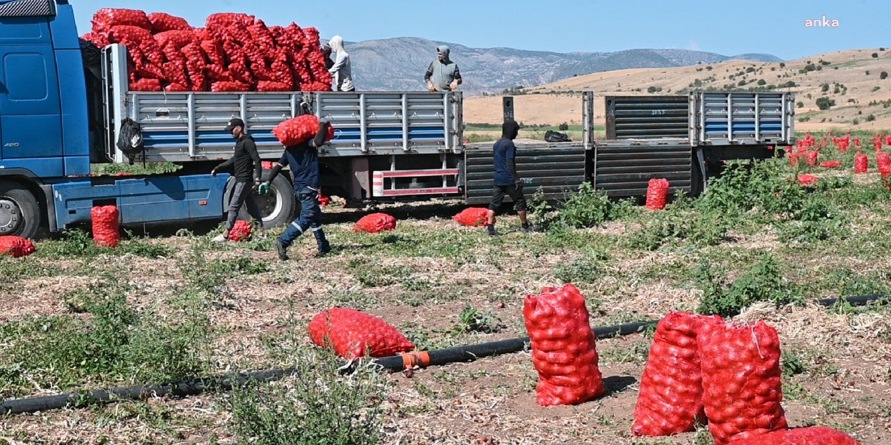 Soğan üreticisi isyanda! Ya tarla ya traktör satılacak