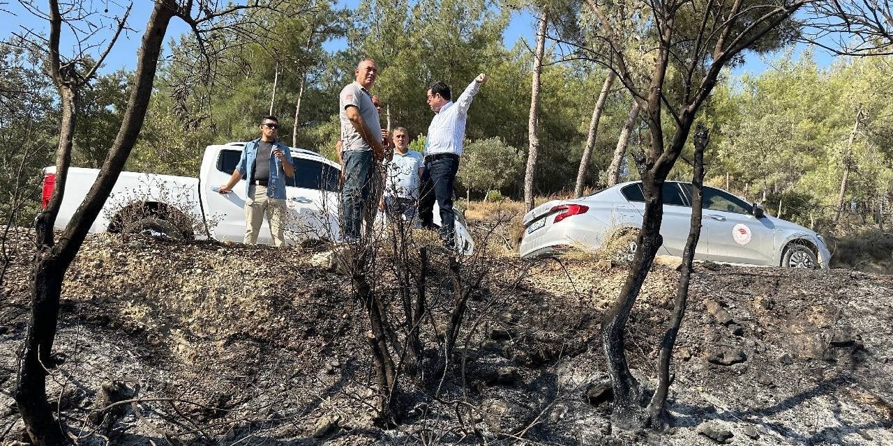 Milas'taki orman yangınında 131 dekar tarım alanı zarar gördü