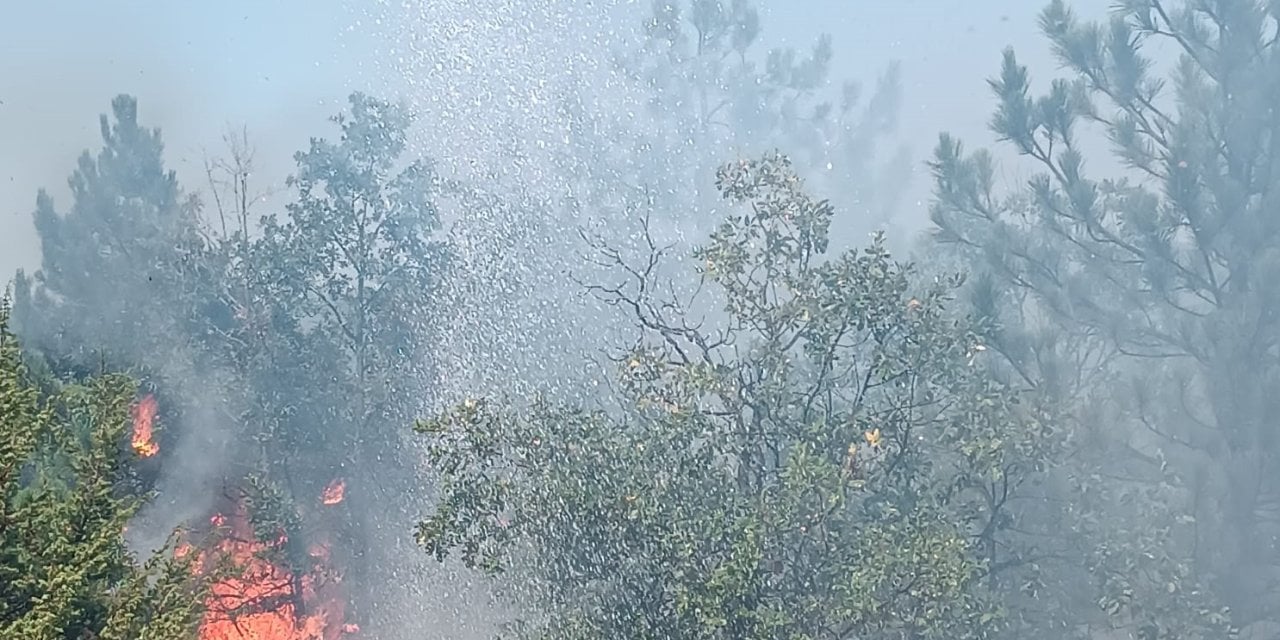 Yozgat'ta orman yangını: 2 çoban gözaltına alındı!