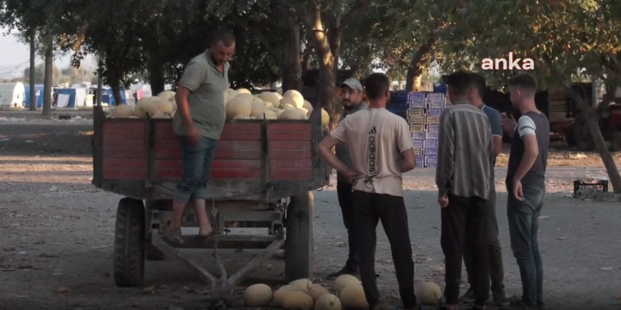 Köylülerden Tarım Bakanı'na gündem olacak isyan: Kefen işine girsinler!