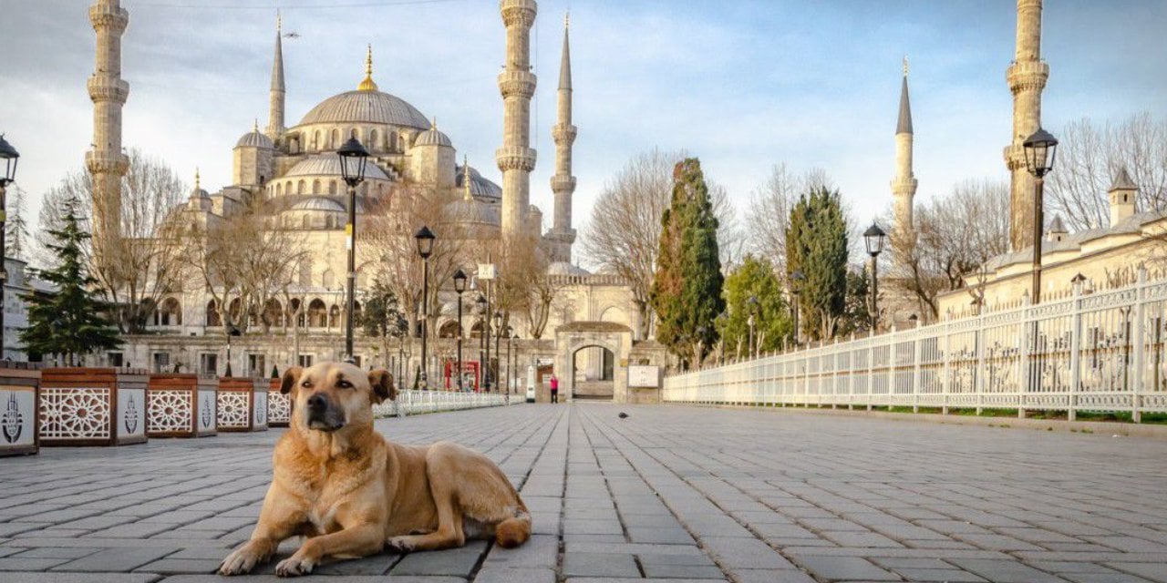 Üstün Dökmen'den köpek düşmanlarına ezan hatırlatması