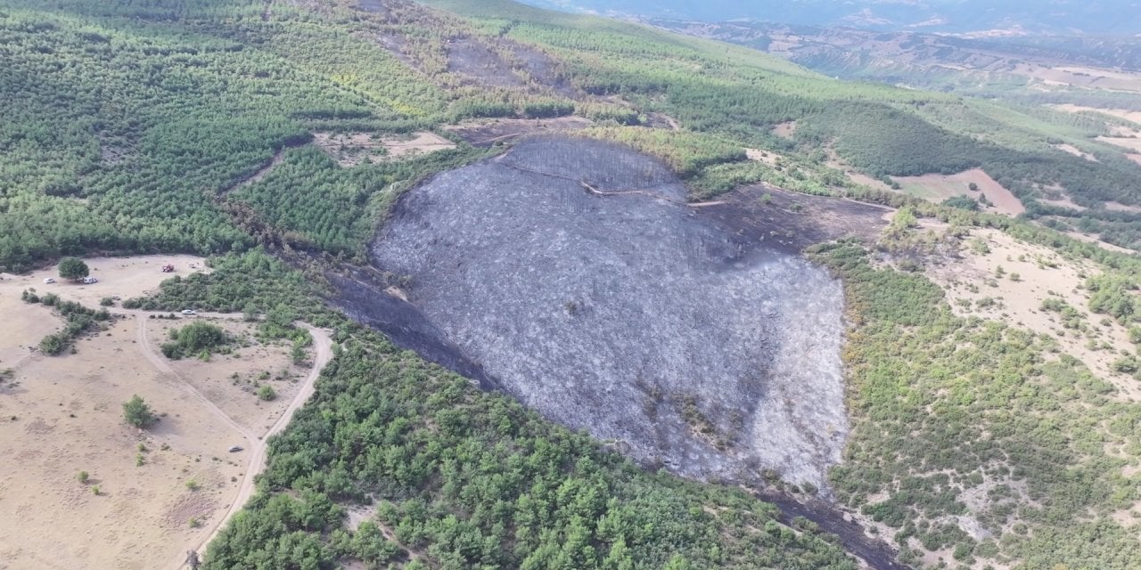 Tokat'ta orman yangını!