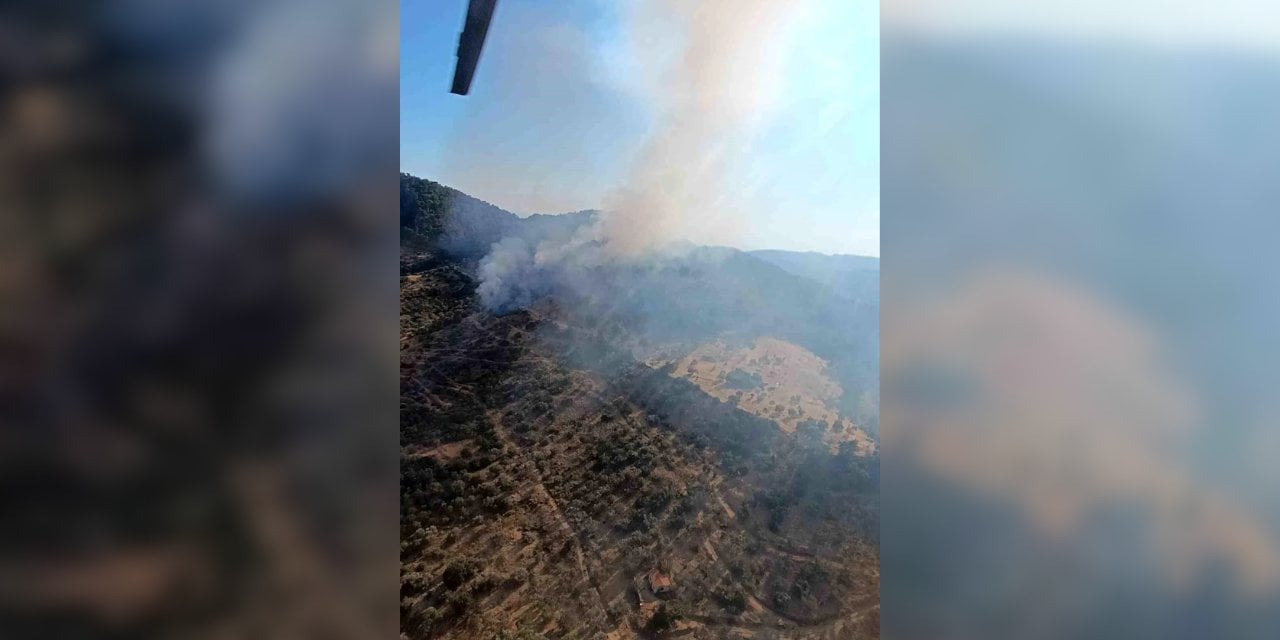 Çanakkale’de orman yangını!