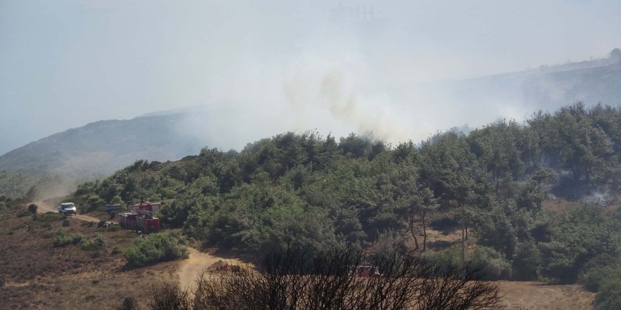 Çanakkale cayır cayır yanıyor: Havadan ve karadan müdahale başladı!