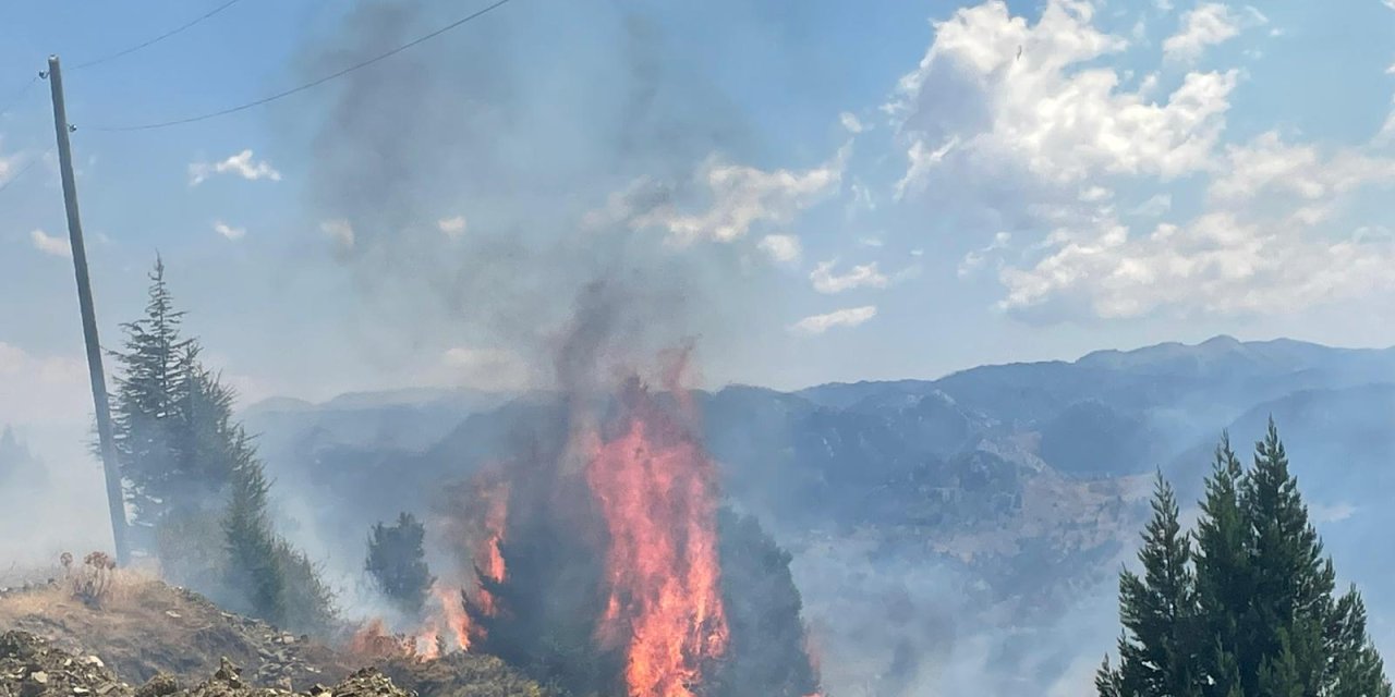 Antalya'da korkutan yangın! Ekipler harekete geçti