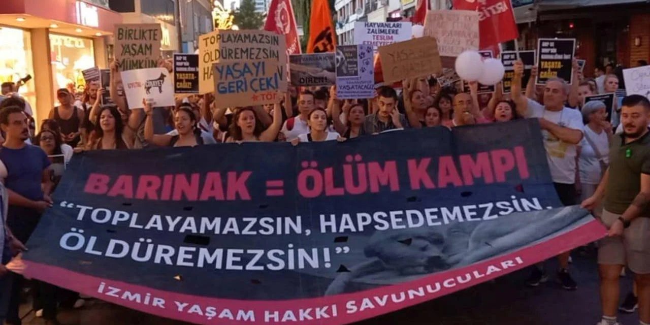 Yazarlar ve uzmanlardan 'Katliam Yasası'na' tepki: Meclis'e çağrıda bulundular