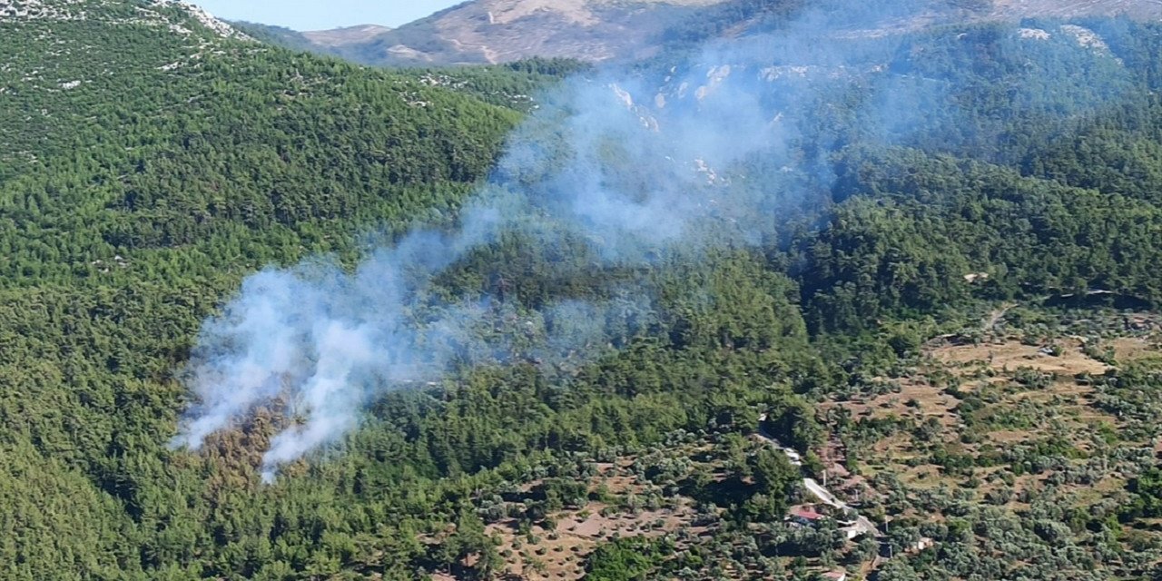 Milas'ta çıkan yangın vatandaşları korkuttu