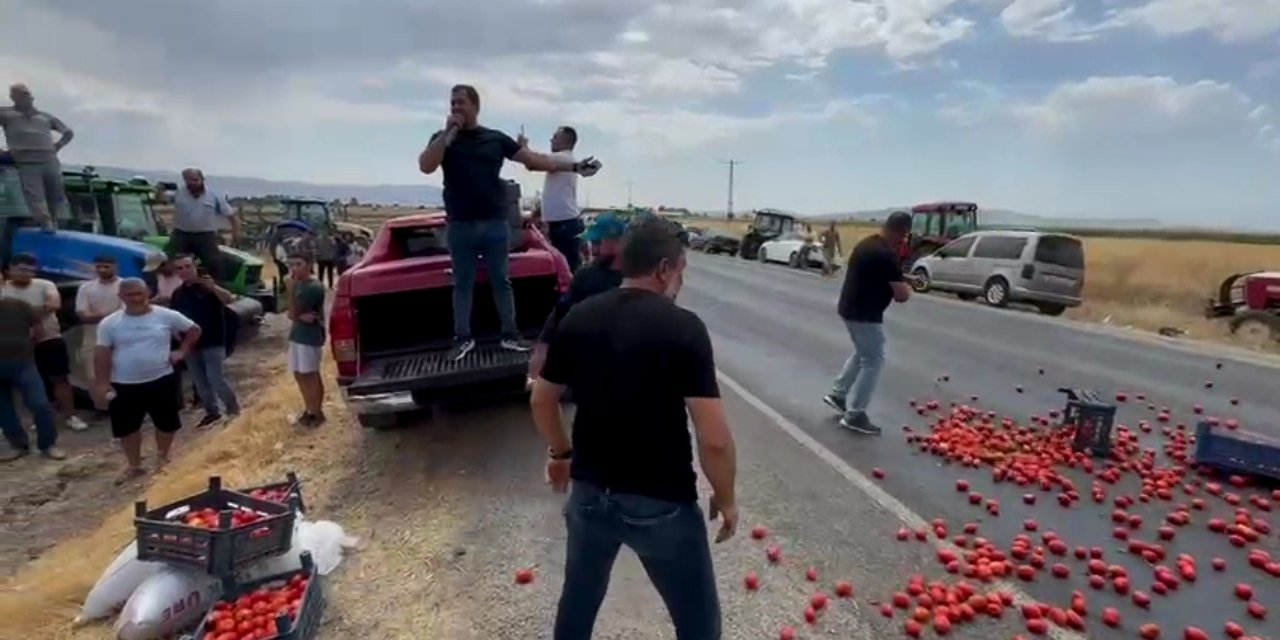 Kahramanmaraş'ta çiftçiler ellerinde kalan domatesleri yola döktü